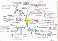 CELLULA - Mappe concettuali biologia per test Medicina e professioni sanitarie