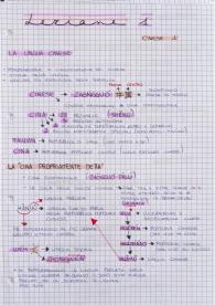 CINESE 1