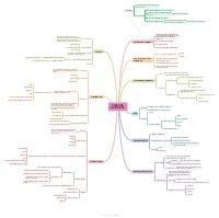 schema sulle persona giuridiche