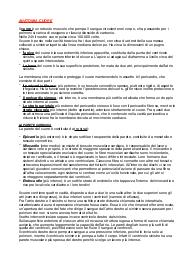 riassunto cuore anatomia
