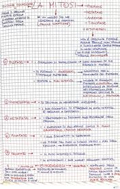 Mitosi, riproduzione, meiosi, cellule aploidi e diploidi