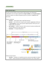 Appunti sulla REGOLAZIONE GENICA (procarioti ed eucarioti)