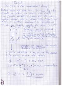 Metodologie Biochimiche - ELISA