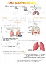 Appunti scienze