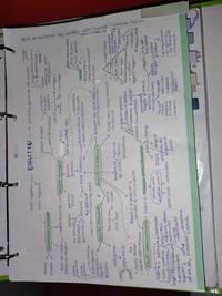 Schema riassuntivo diritto amministrativo