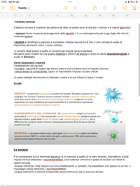 Appunti di igiene sul sistema nervoso