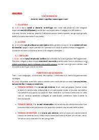Appunti di anatomia su arterie,vene e capillari!