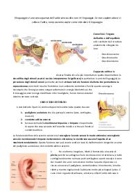 Appunti di Audiologia