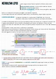 Appunti Metabolismo dei lipidi