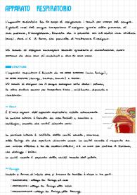 Apparato Respiratorio (Liceo)