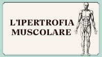 Power point Ipertrofia Muscolare