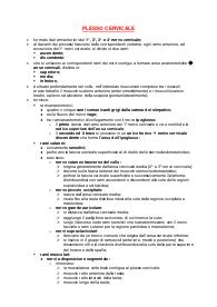 Schemi dettagliati plesso cervicale corso di Anatomia Umana 3 Università degli Studi di Roma "La Sapienza"