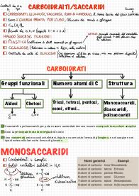 Appunti carboidrati completi con suddivisione