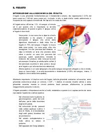 Sbobine di Biochimica Medica