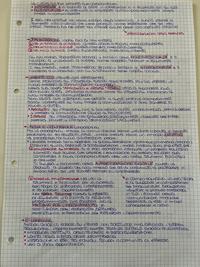 COMUNICAZIONE E SOCIETÀ DI MASSA (parte3)