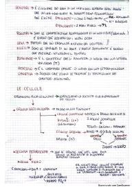 Riassunti di biologia terzo anno
