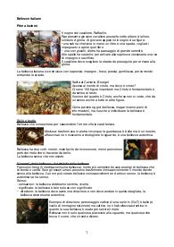 Mestieri d'arte e bellezza italiana - Sintesi del corso
