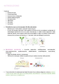 Appunti di Metodologie Biochimiche