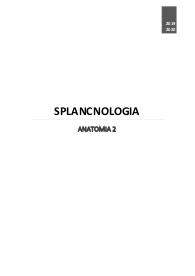 Splancno anatomia