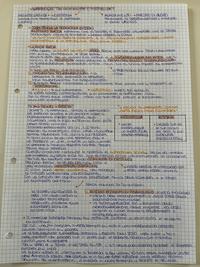 POST MODERNITÀ E MODERNITÀ LIQUIDA (parte2)