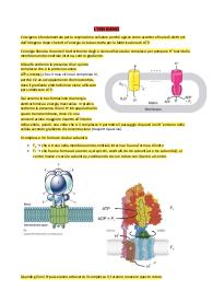 BIOCHIMICA--->OSSIGENO, TERMOGENESI, SISTEMA NAVETTA NADH, METABOLISMO LIPIDI, PRINCIPALI LIPIDI, TRASPORTO NEL SANGUE