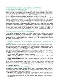 L'espressione genica, dal DNA alle proteine (trascrizione e traduzione)