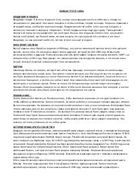 Riassunti testi libri, russo, lim-tur 2