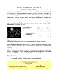 Le sindromi