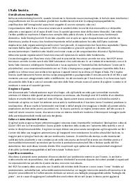 fascismo 0