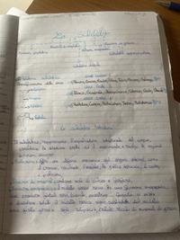Lo scheletro e le sue funzioni