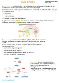 Appunti Ciclo di Krebs Biochimica