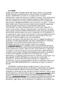 appunti sul cuore