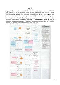 Punti chiave su Biochimica parte V (Glicolisi)