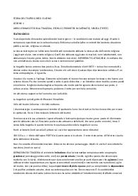 storia del teatro greco e latino