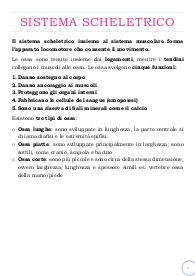 Il Sistema Scheletrico