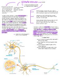 appunti sul Sistema Nervoso