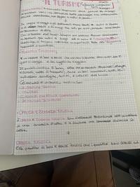 Diritto