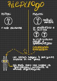 Mendel e le malattie genetiche