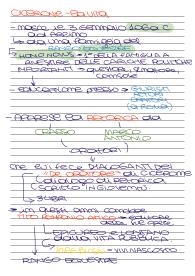 Cicerone-vita,stile, opere e retorica