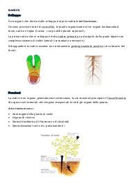Appunti di botanica II parte