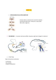 Genetica - Unipr - Laurea triennale in Biologia