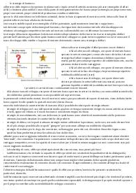 le strategie di business