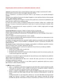 Appunti Programmazione del mercato del lavoro e delle attività educative e culturali