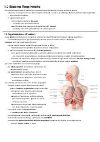 ANATOMIA II (1° PARTE)