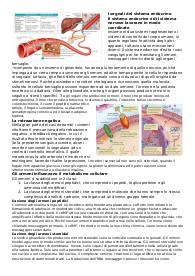 Riassunto il sistema endocrino