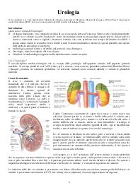 UROLOGIA