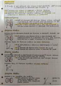 Funzioni, Logaritmi ed Esponenziali