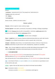 sistema respiratorio