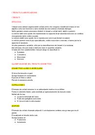 La classificazione dei tessuti
