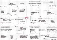 Schema sulla Pubblica Amministrazione, diritto